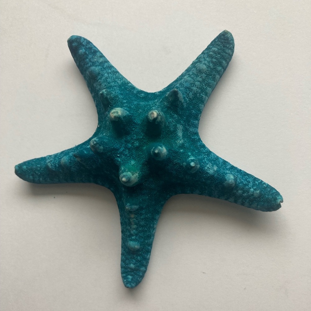 Blue Starfish Seashell